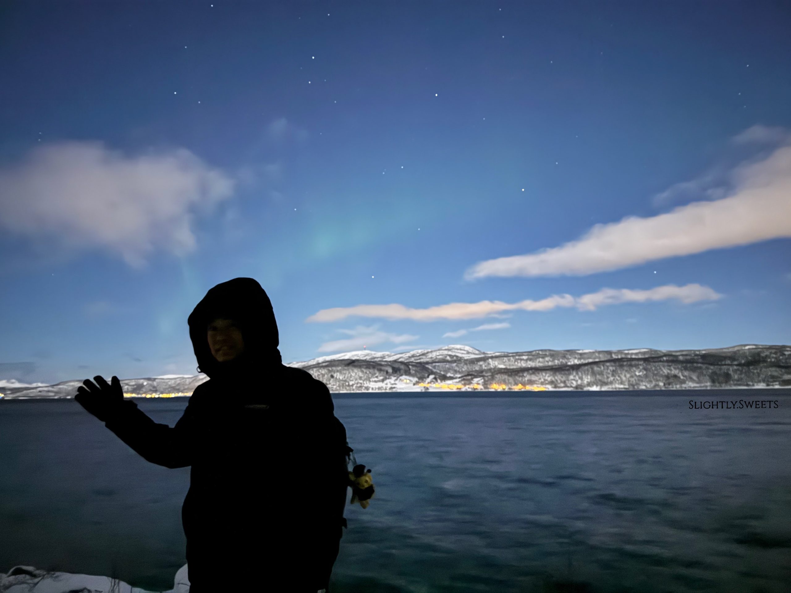 卡| 美國紐約Chase、BofA、Capital One 開戶心得- 維與田的微甜生活