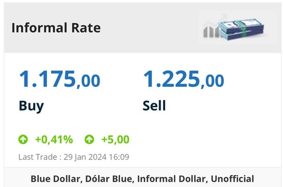 我當時在 Blue Dollar 網站的截圖（2024 年 1 月 29 日）